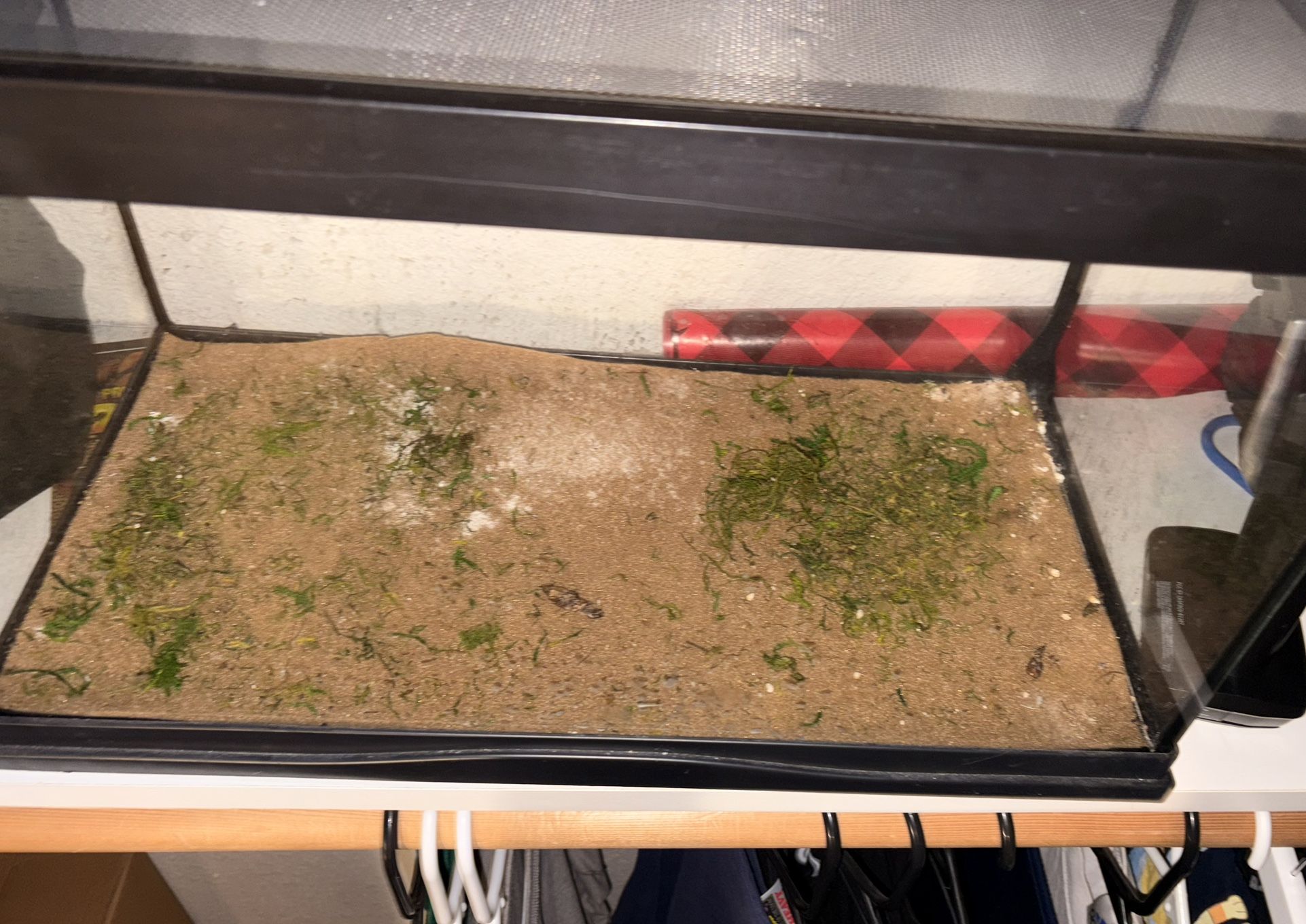 Reptile tank