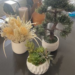 Small Faux Plants