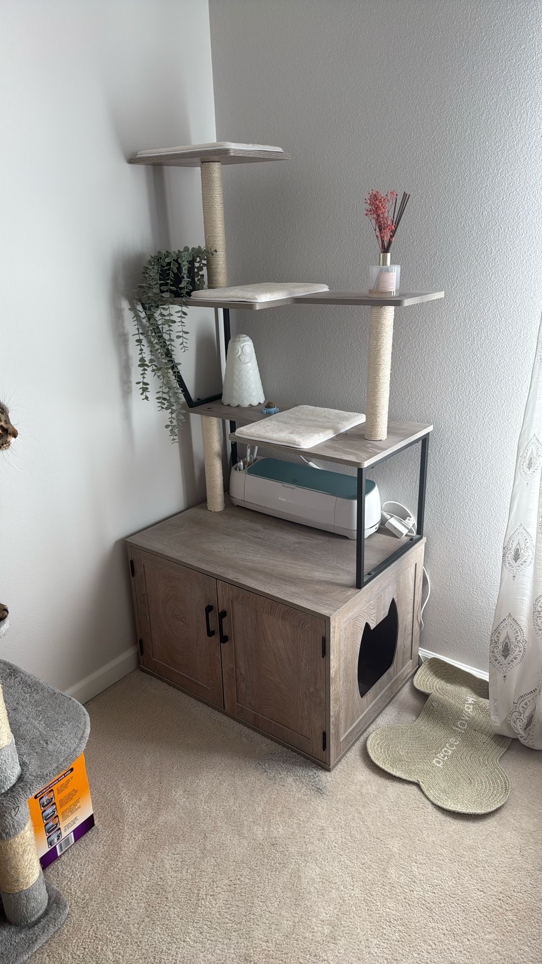 Cat Litter Box