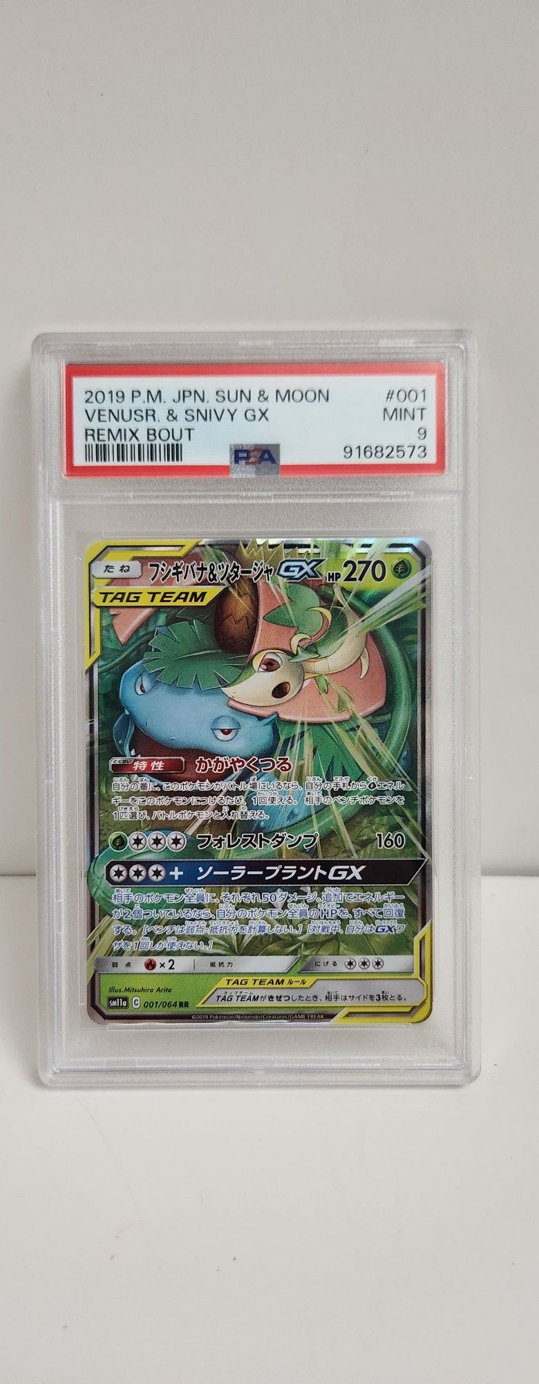 Pokemon Slab