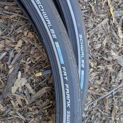 700x50 28.0x2.0 29er Schwalbe Fat Frank Bicycle Tires