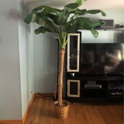 Banana Plant 