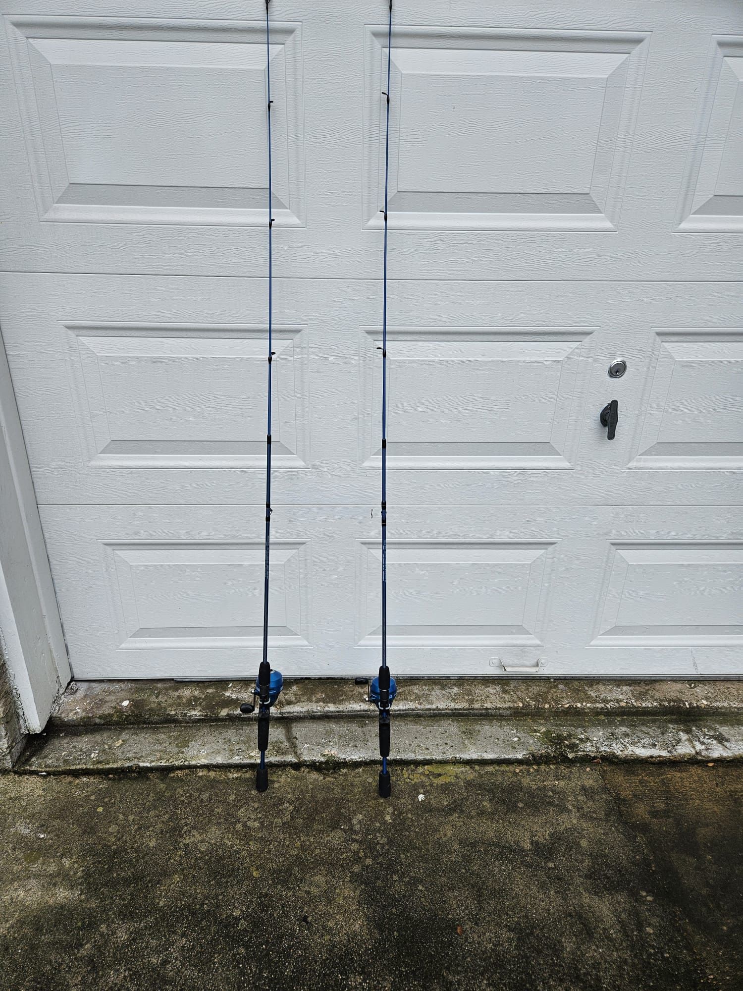 Zebco 6.6 Ft Fishing Rods