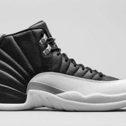 Jordan 12 Size 12