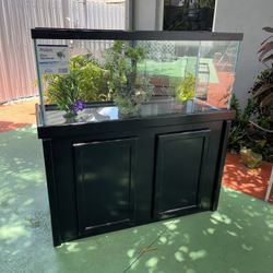 Aquarium 75 Gallons-Fish Tank 75 Gallon-Pecera
