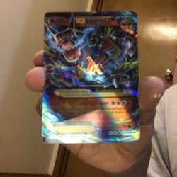 M  Charizrd Ex 