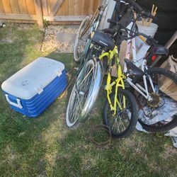 3 Bikes 1 Cooler