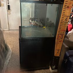 Fish Tank