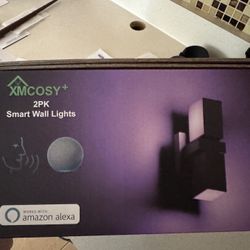 Color Changing Outdoor Wall Lights