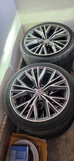 Audi Multi-Spoke Wheels with Tires