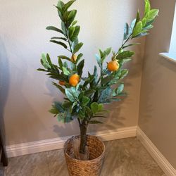 Decoration Lemon Tree With Basket 