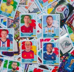Paninis for sale - no need for trade