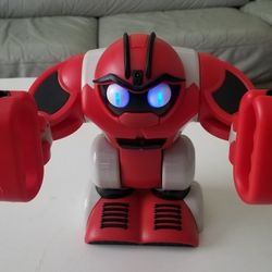 Boombot  interactive robot 