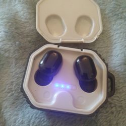 Ear Buds Works Great