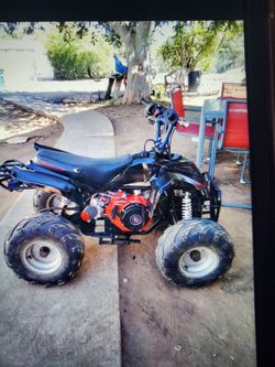 Mini bike (new predator 224 non-hemi (500$firm