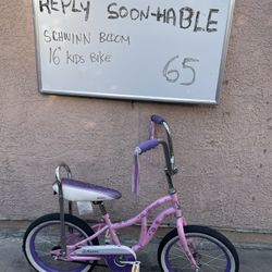 Schwinn Kids Bike