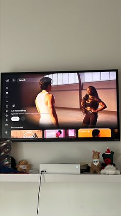 48” TV