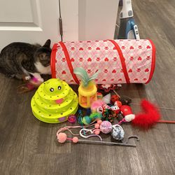 lot of cat toys