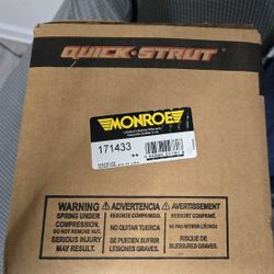 171433 Quick Strut  and Coil Spring Assy Unopen/New 