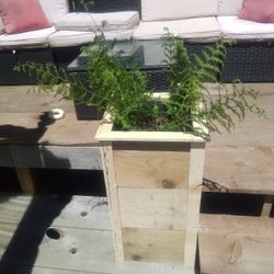 Wooden Planters