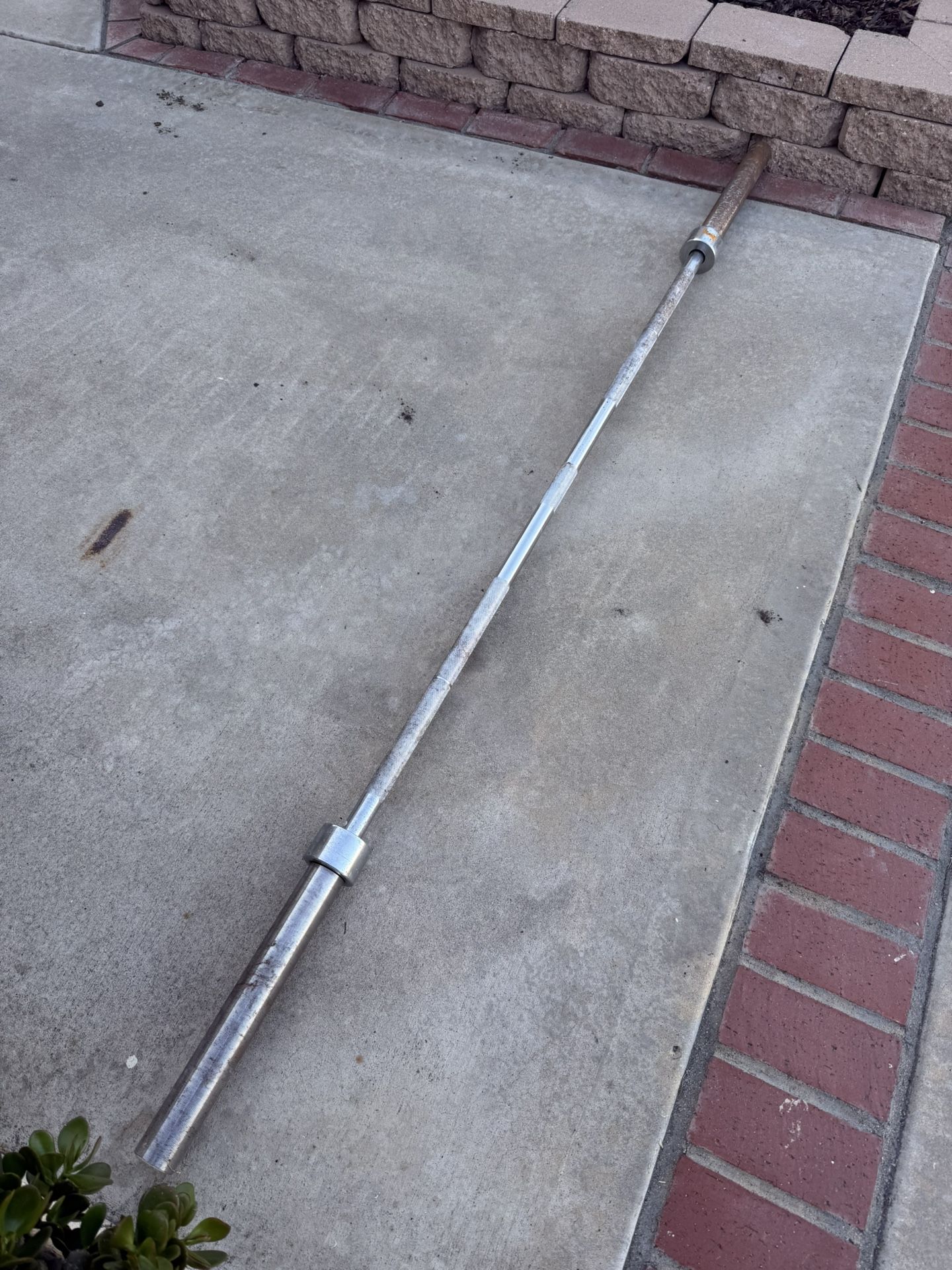 45lb Bar