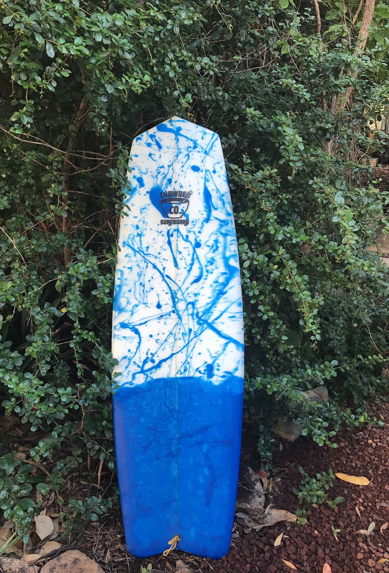 Brand New Fish Hybrid Surfboard