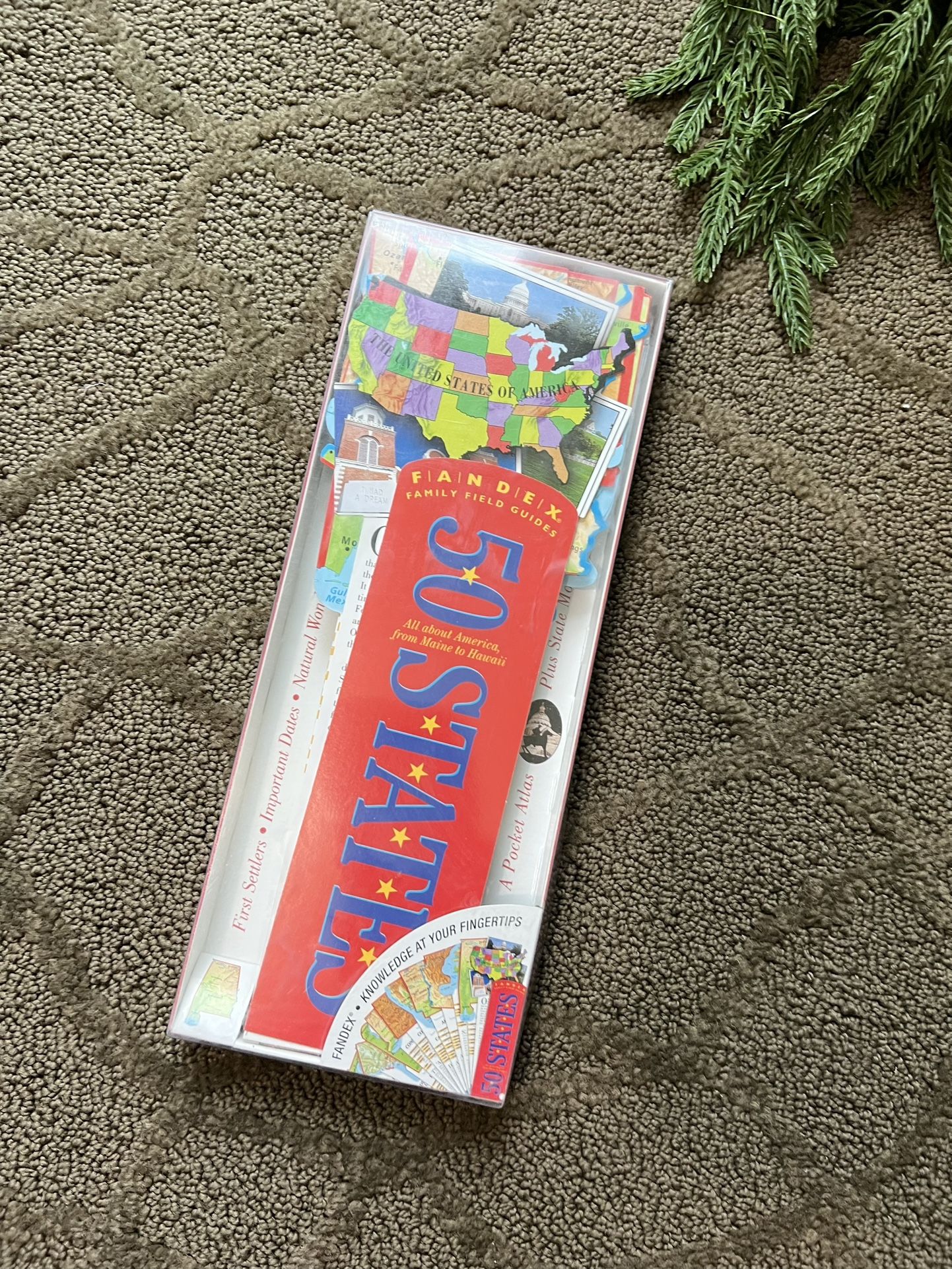 Fandex Educational Field Guides: 50 States