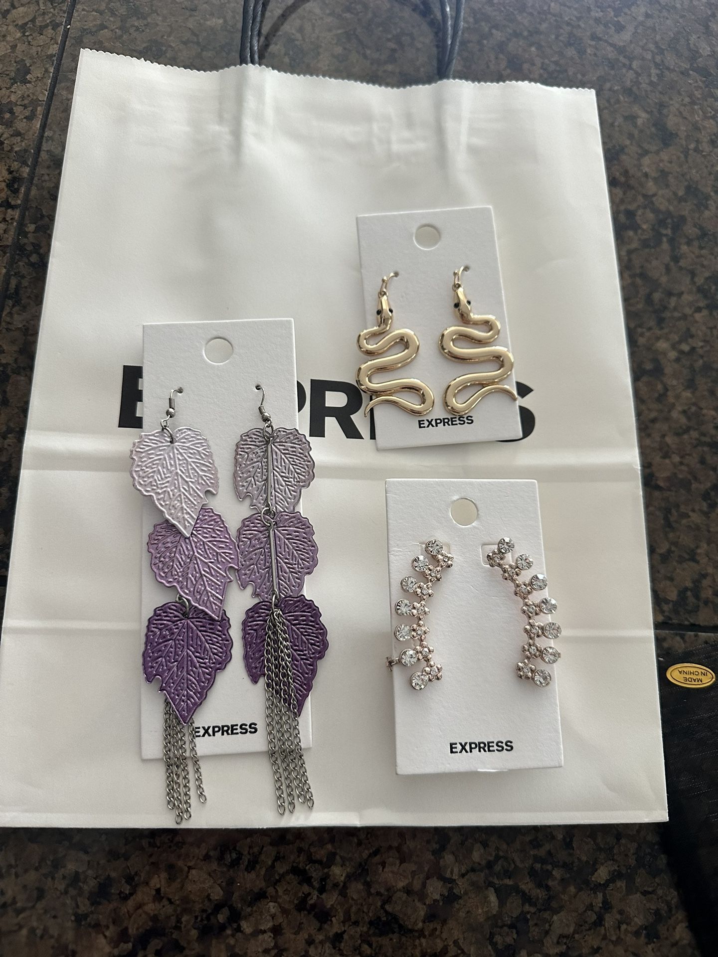 Express Earrings 