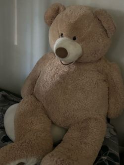 Teddy bear