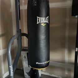Everlast Punching Bag With Stand