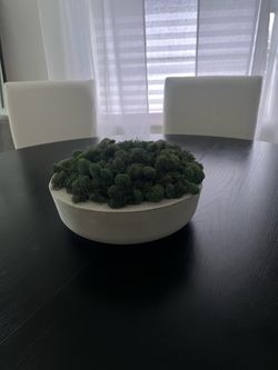 Concrete Bowl with Preserved Moss Centerpiece