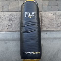 Everlast Boxing Bag 70lb