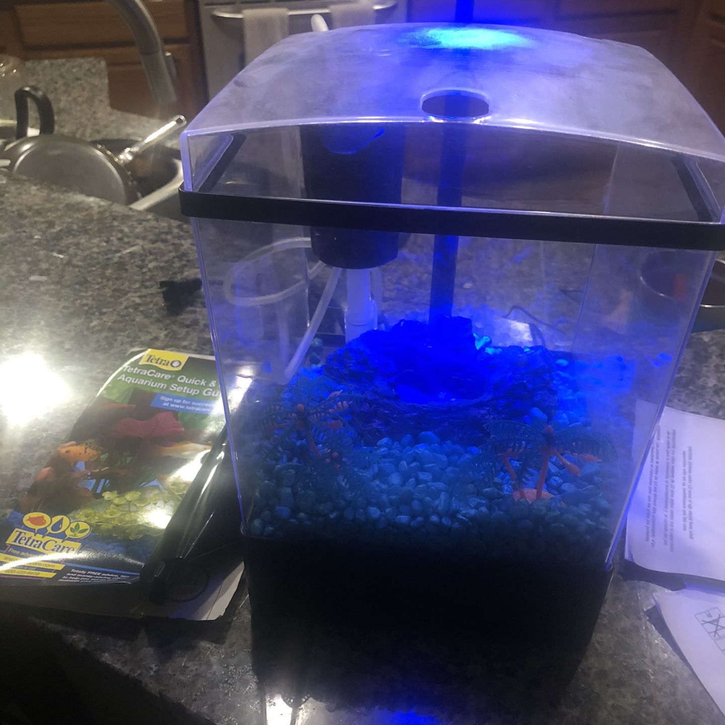 1 Gallon Fish Tank With Light