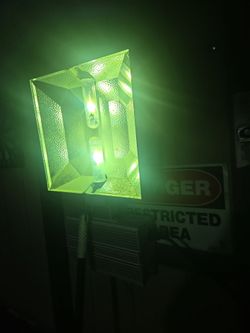 Grow lamp 33,000 lumins