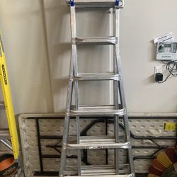 25 Ft Multi-purpose Ladder