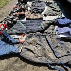 Horse/Equestrian Gear