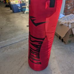 Everlast Punching/🥊 Bag