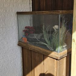 29 Gallon Tank And Real Wood Stand 