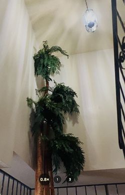 15 Ft Palm Tree-Artificial. And Party Items