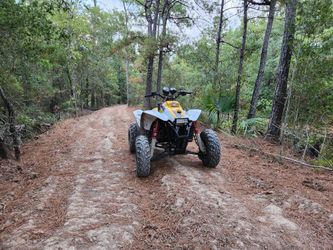 1999 Polaris Trailblazer 250