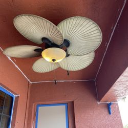 Outdoor Ceiling Fan 