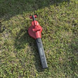 Leaves Blower