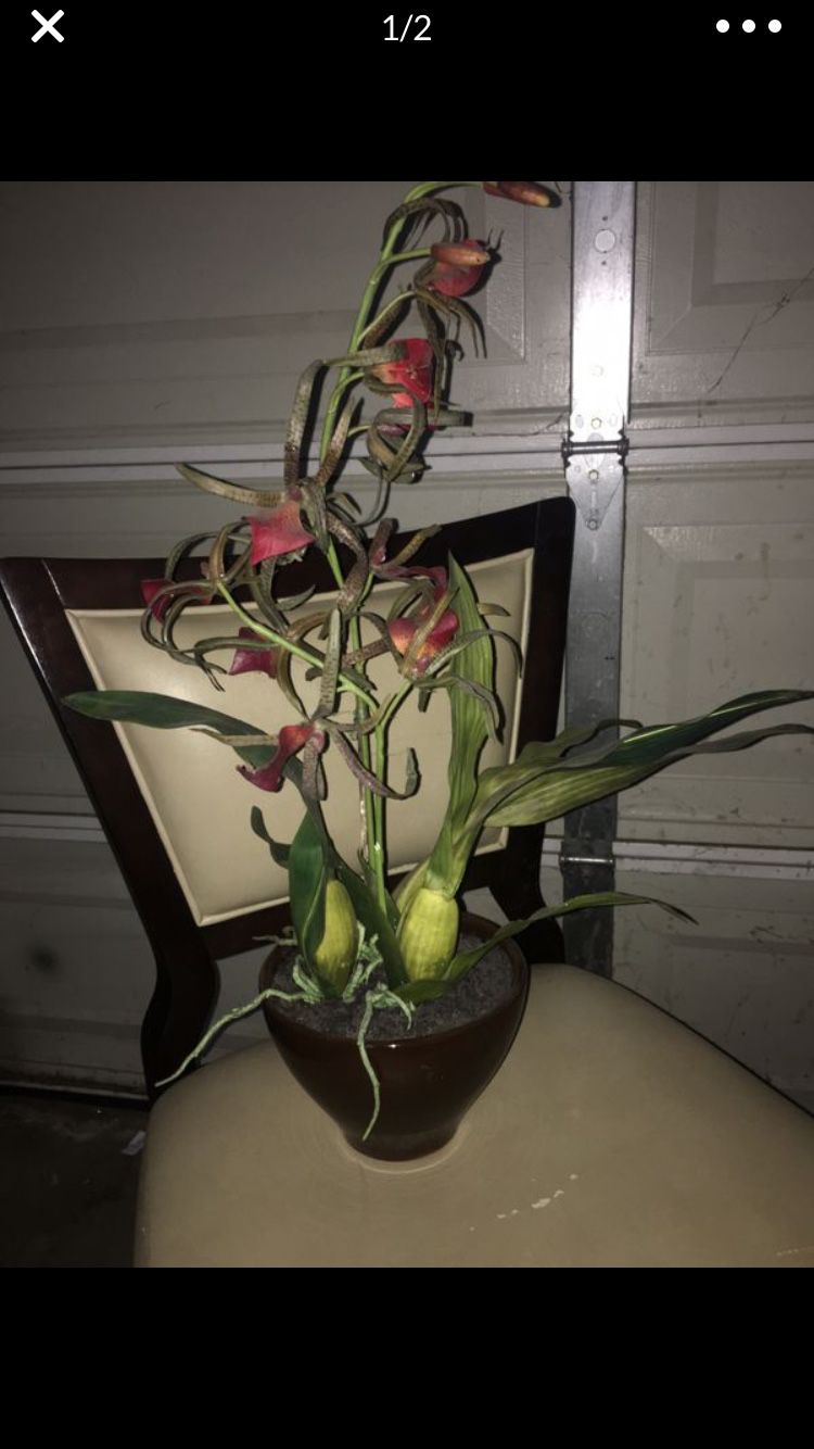 Silk flower fake flower arrangement vase floral orchids orchid tropical