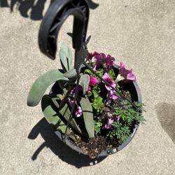 Decórate Flower Pot 🪴🌸🪻🪻🪻