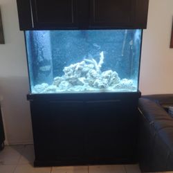 120 Gallon Showcase Fish Tank Aquarium 