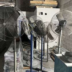 Fan 
