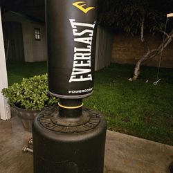 Punching Bag