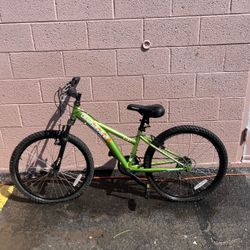 Green Diamondback Tess Bicycle