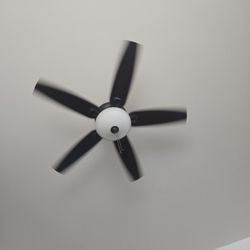 Ceiling Fan, Switches, Outlets, Indoor, Outdoor