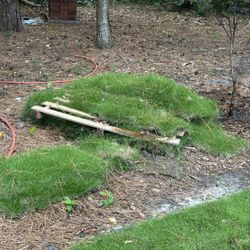 Leftover Sod ~100-150 Sqft - FREE Just Need To Pick Up 